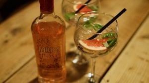 Drinks 004 - Larios Pink Gin