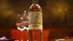 Mimosa Wine 003 - Pinot Grigio